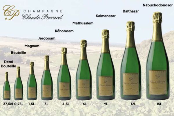 Combien de verres y a t il dans une bouteille de champagne
